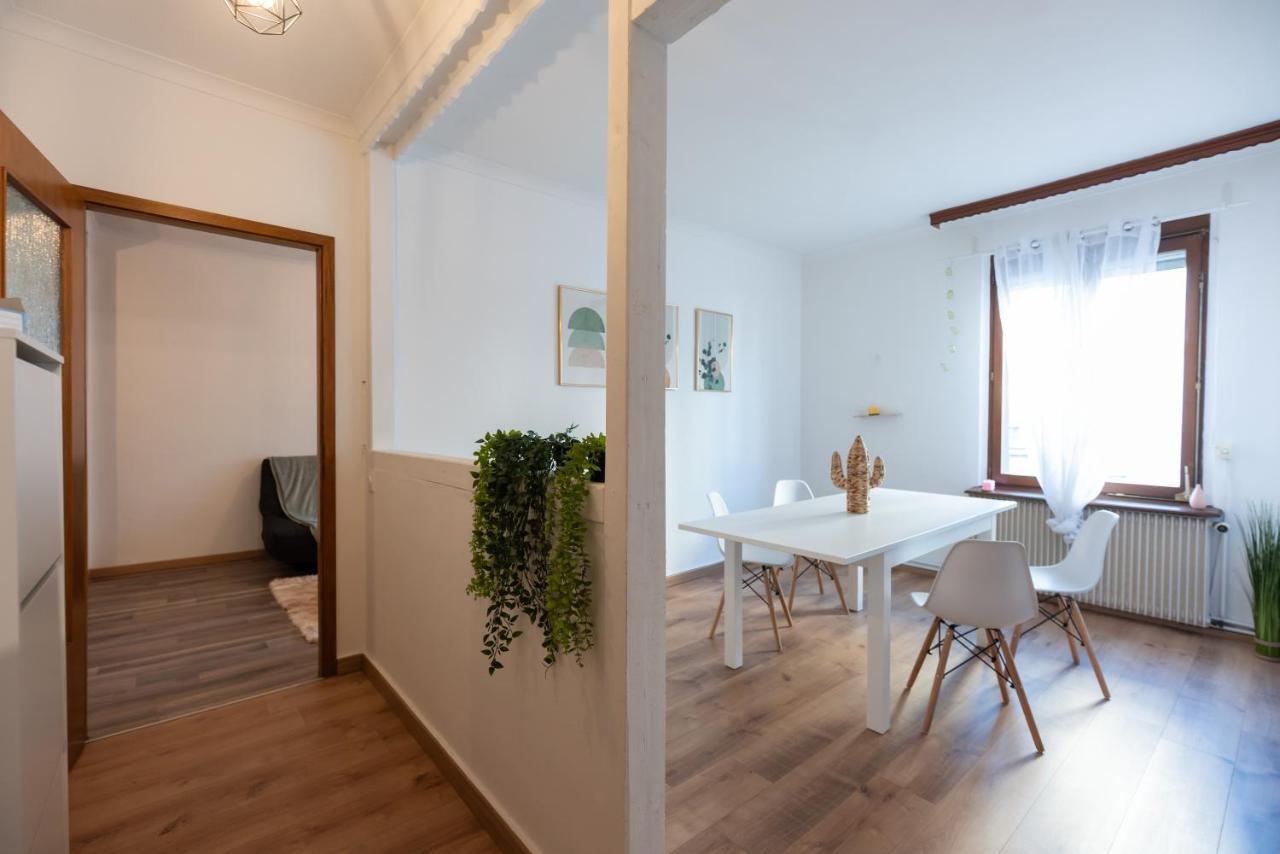 Appartement Cosy De 80 M2 Mulhouse Dış mekan fotoğraf